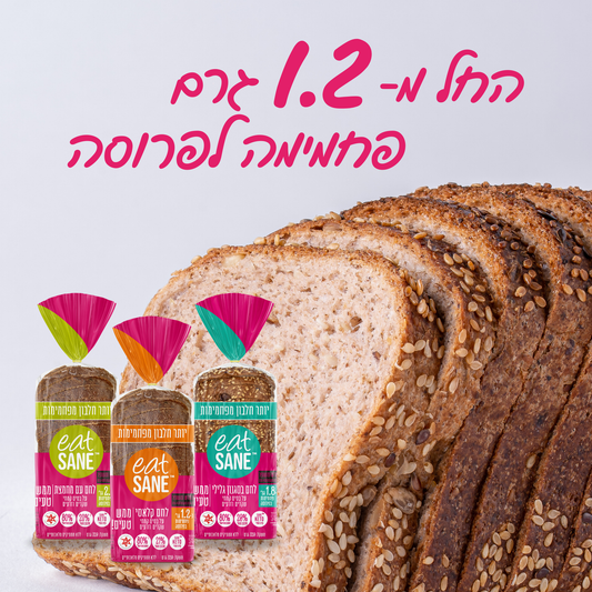 מבצע לחמים